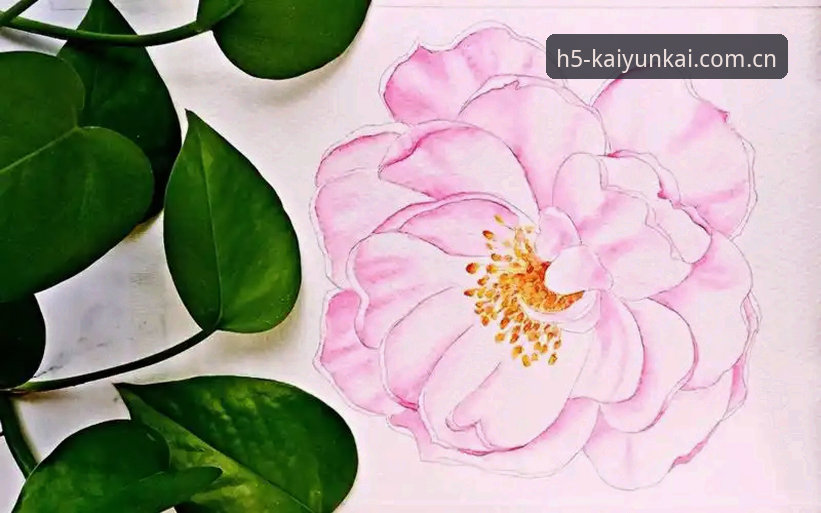 开运KY使用教程 开运体育平台KY使用教程深度评测:从零上手的完整操作指南